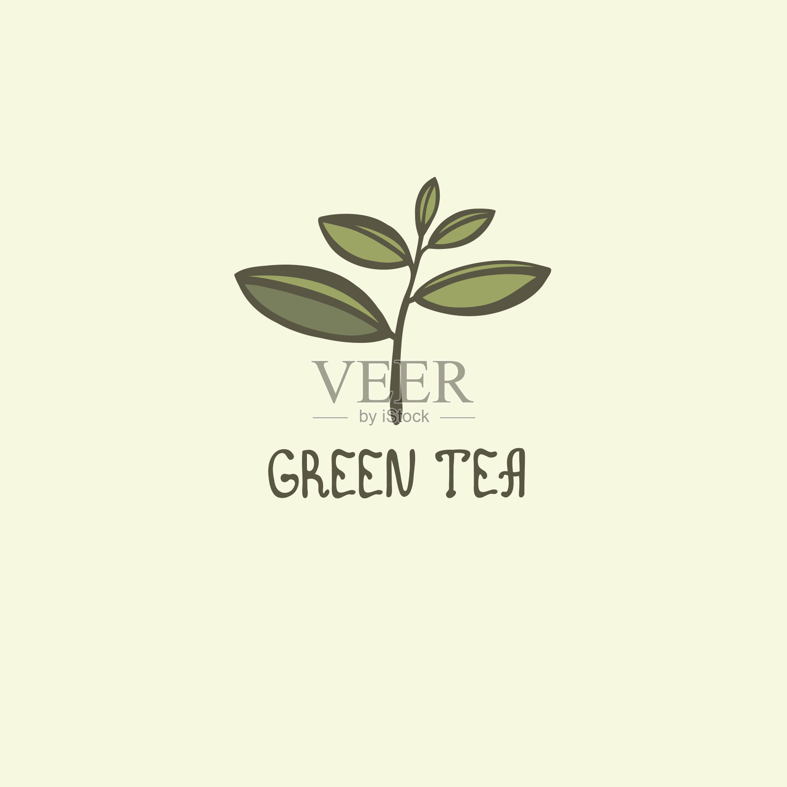 绿茶的叶子。插画图片素材