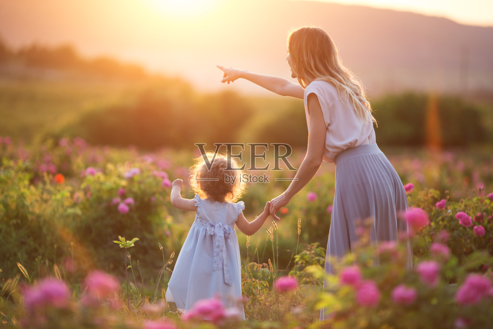美丽的孩子女孩和年轻的母亲穿着休闲的衣服走在玫瑰花园日落的灯光照片摄影图片