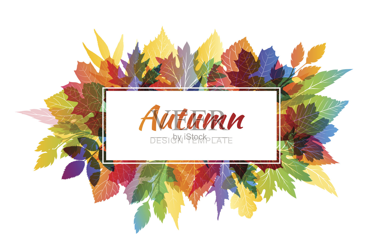 秋天五颜六色的背景与各种各样的树叶设计元素图片