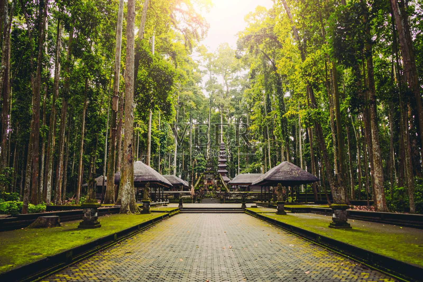印度尼西亚巴厘岛乌布的圣猴森林保护区照片摄影图片