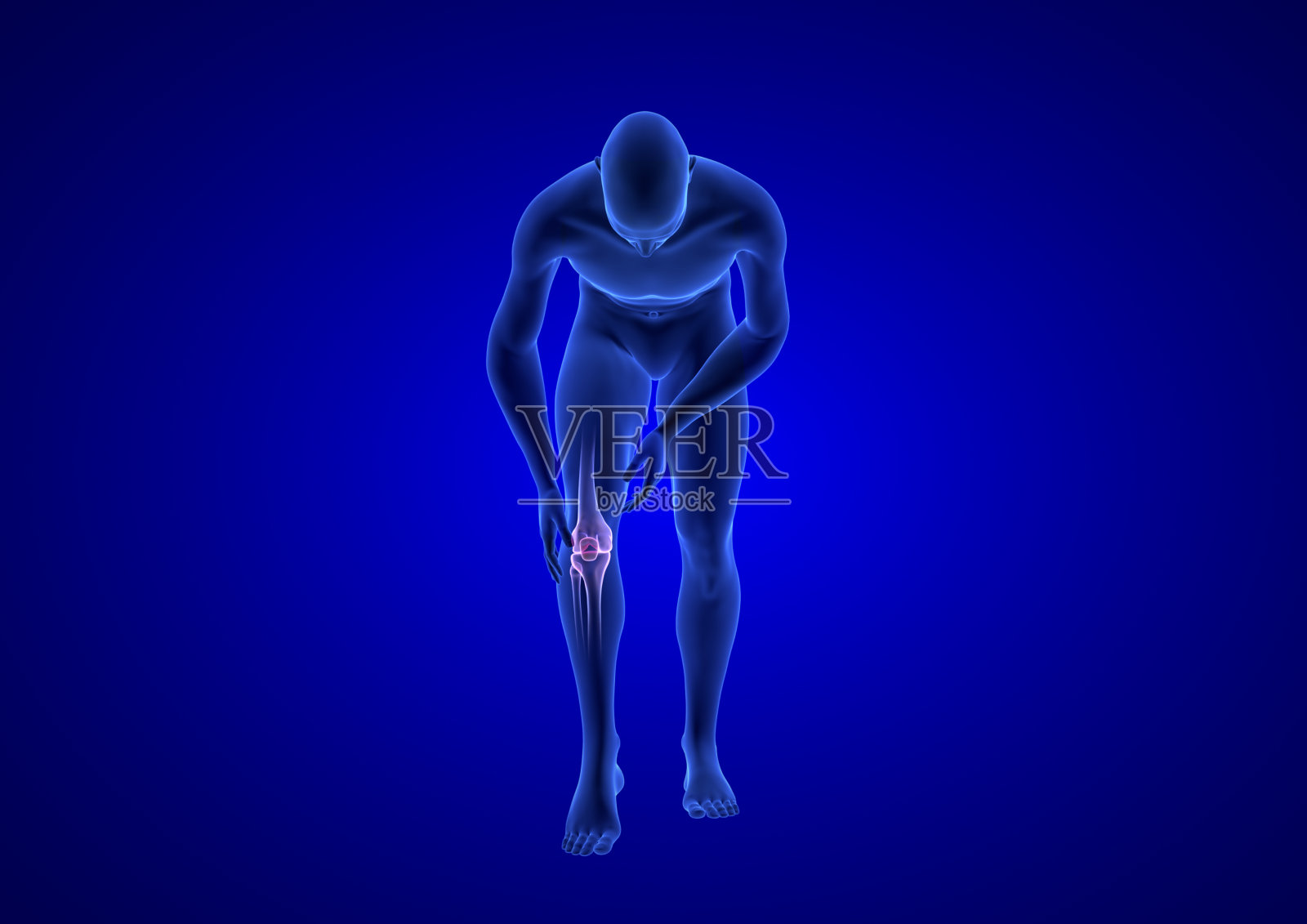 膝盖疼痛。蓝色人体解剖体3D渲染在蓝色背景照片摄影图片