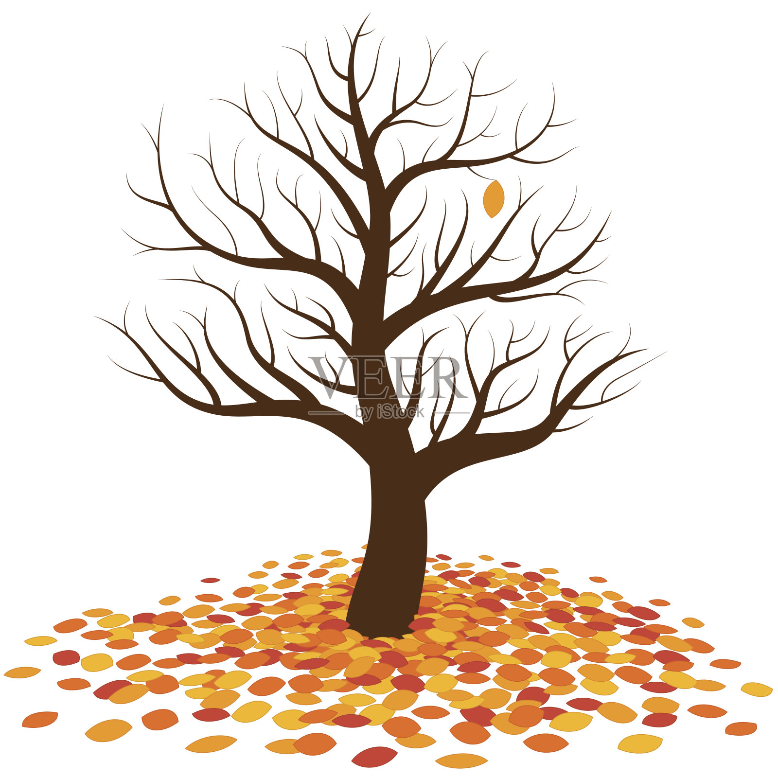 在秋天，一棵光秃秃的树与最后一片橙色的叶子在它等待着落在更多彩的树叶堆在树的根部。孤立的矢量插图上的白色背景。插画图片素材