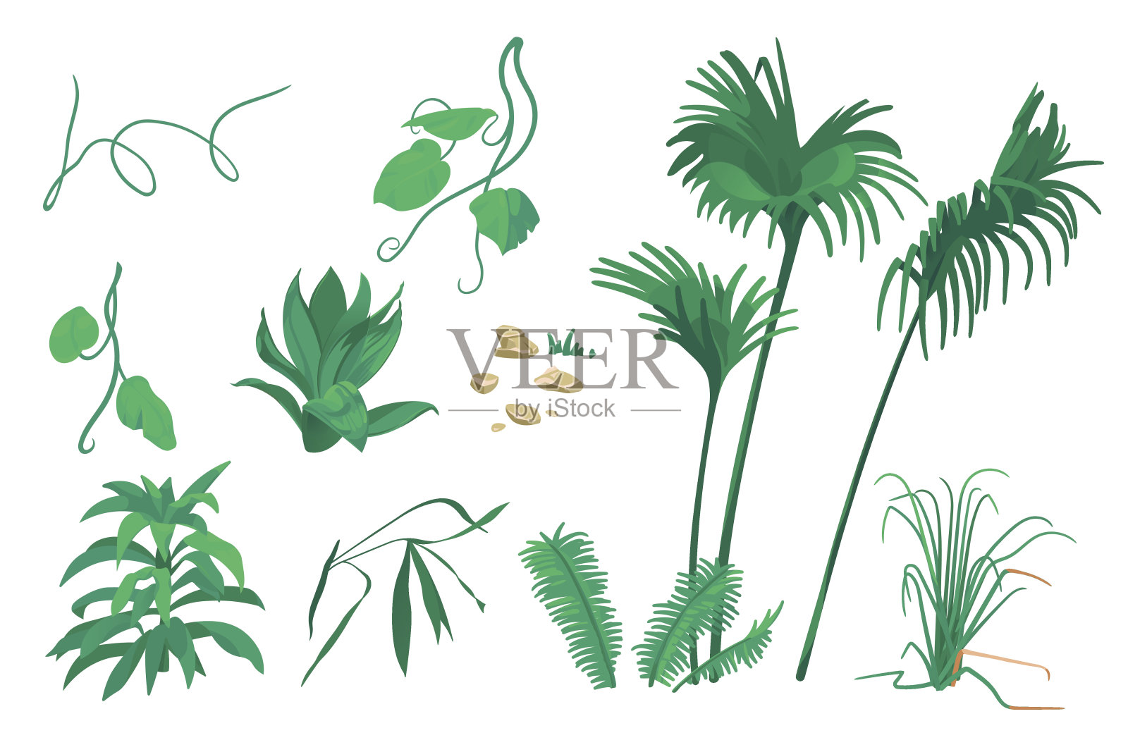 一套矢量插图的热带树叶和棕榈树在卡通风格。插画图片素材