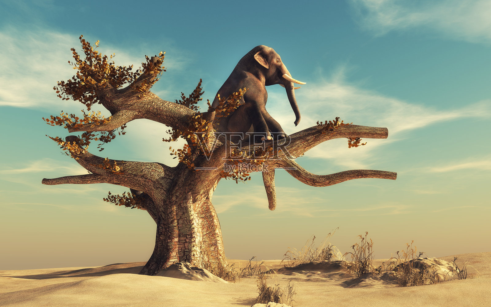 在超现实的风景中，大象在一棵干燥的树上照片摄影图片