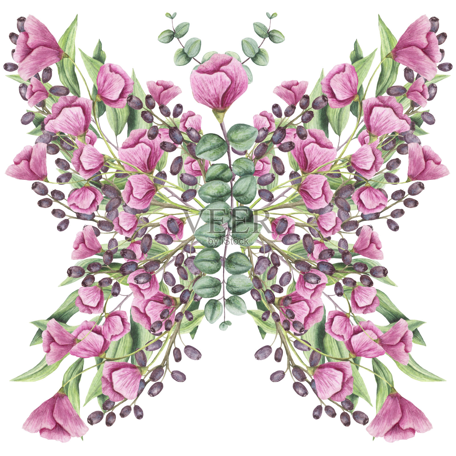 花蝴蝶与水彩花，浆果和香草插画图片素材