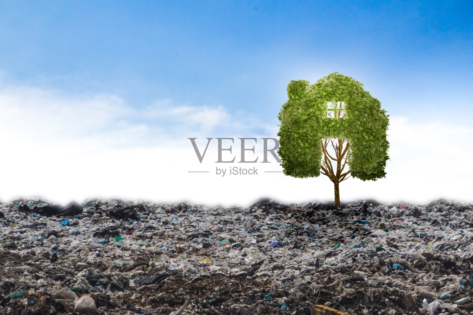 概念家居回收大独树在垃圾。生命之树。照片摄影图片