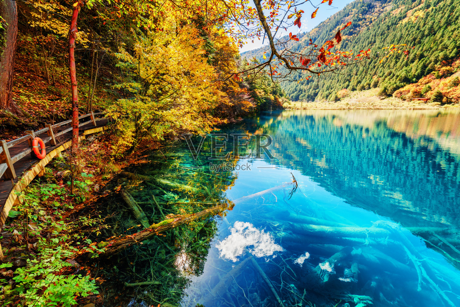 秋天的树林中，湖水湛蓝，景色迷人照片摄影图片