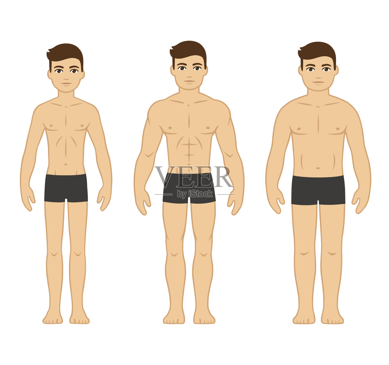 男人的身体类型插画图片素材