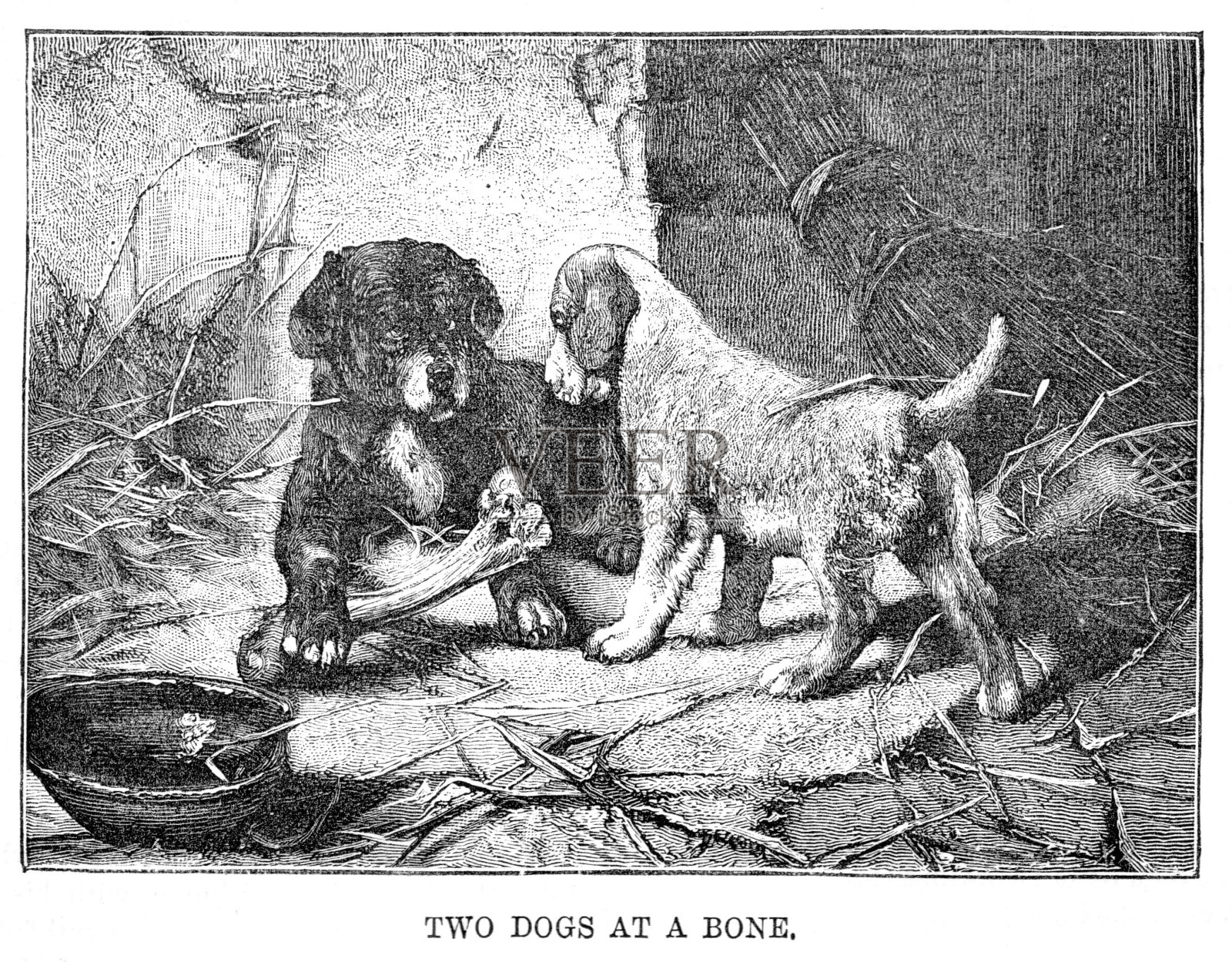 19世纪的一幅画，两只狗在一个农场的院子里，中间夹着一根骨头——《啃骨头的两只狗》。插画图片素材
