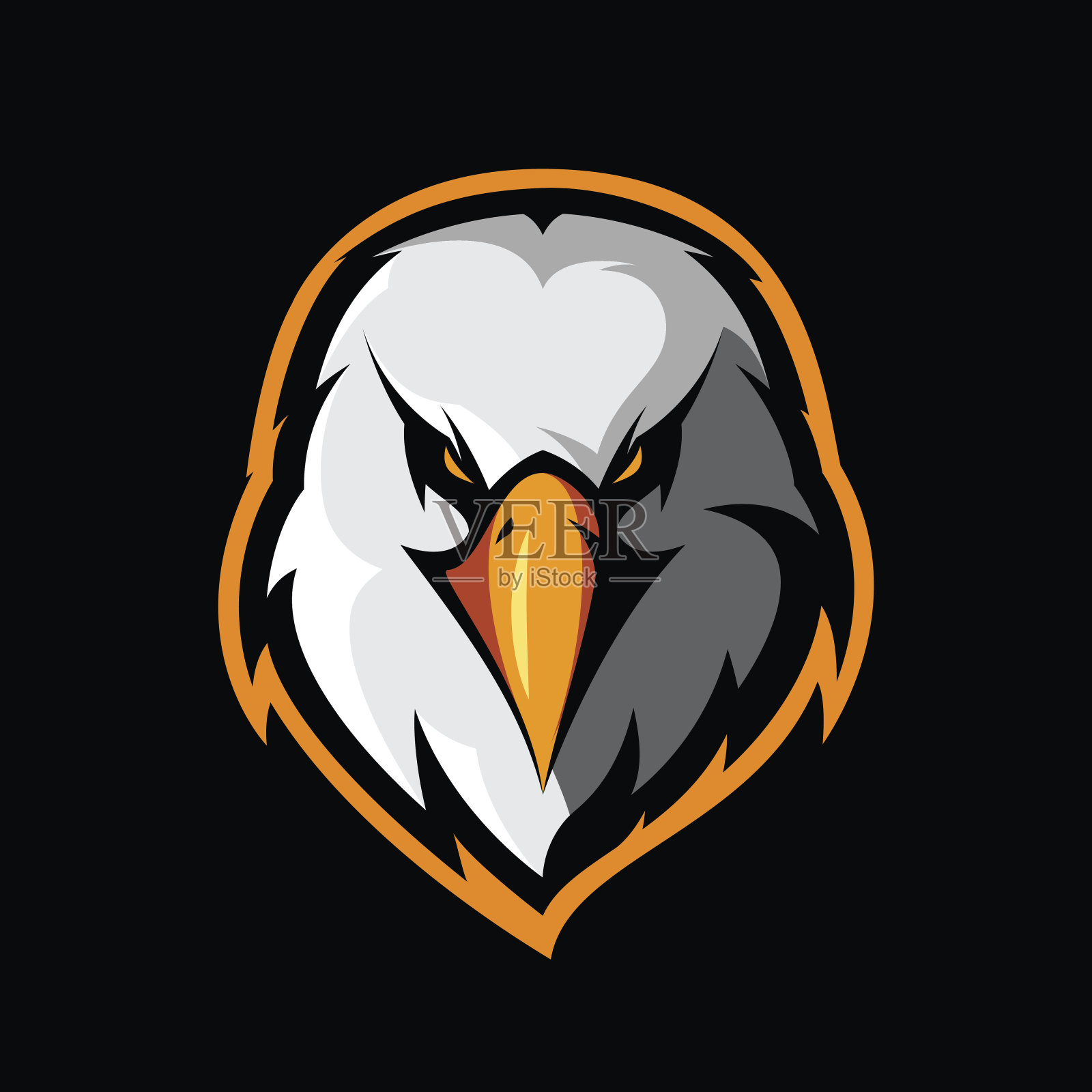 狂怒鹰头运动俱乐部矢量标志概念孤立在黑色背景。设计元素图片