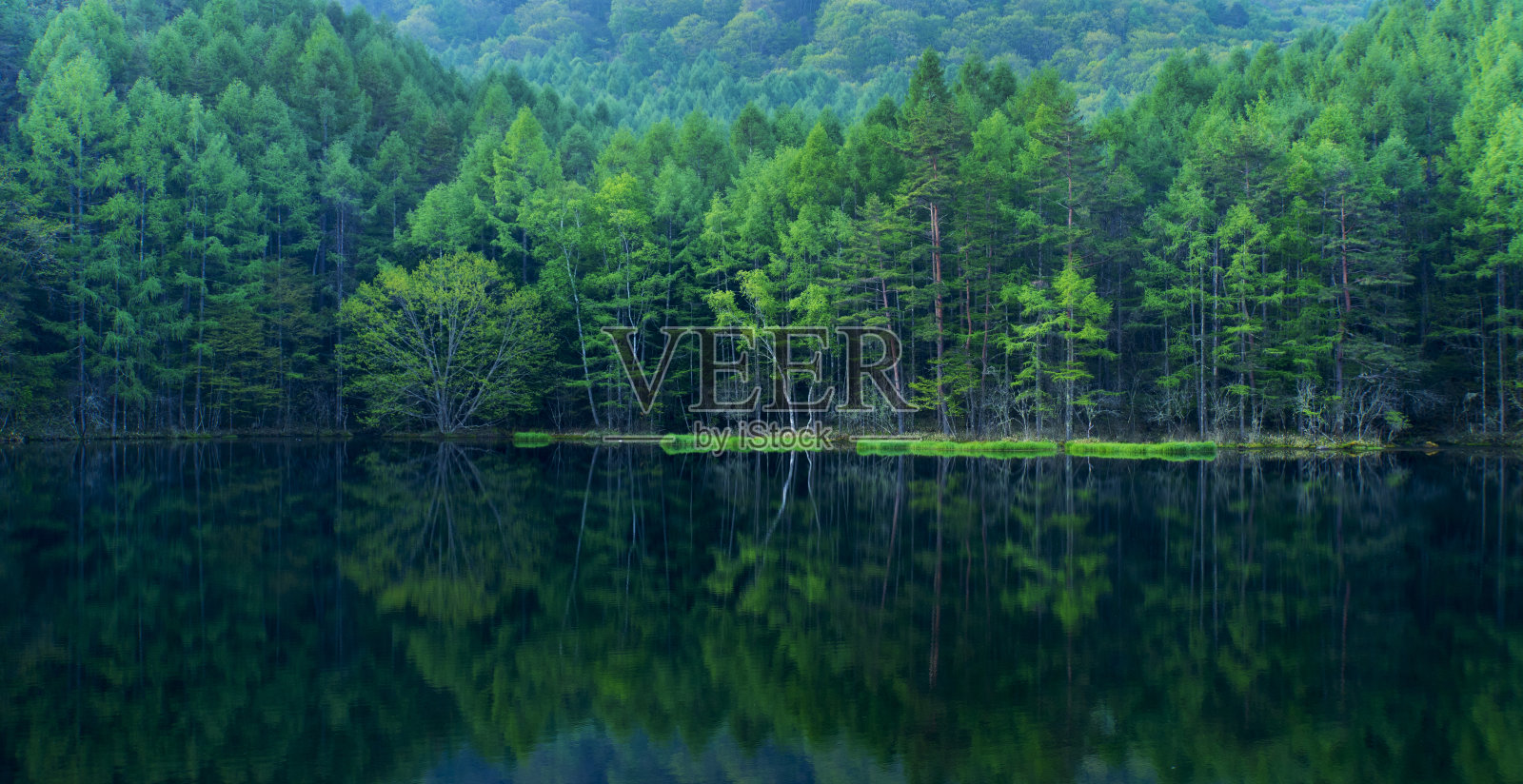 绿色的森林倒映在平静的湖面上照片摄影图片