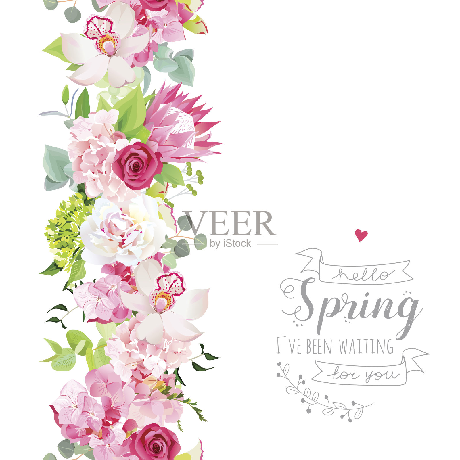 垂直无缝线花环与粉红色绣球，兰花，白色插画图片素材