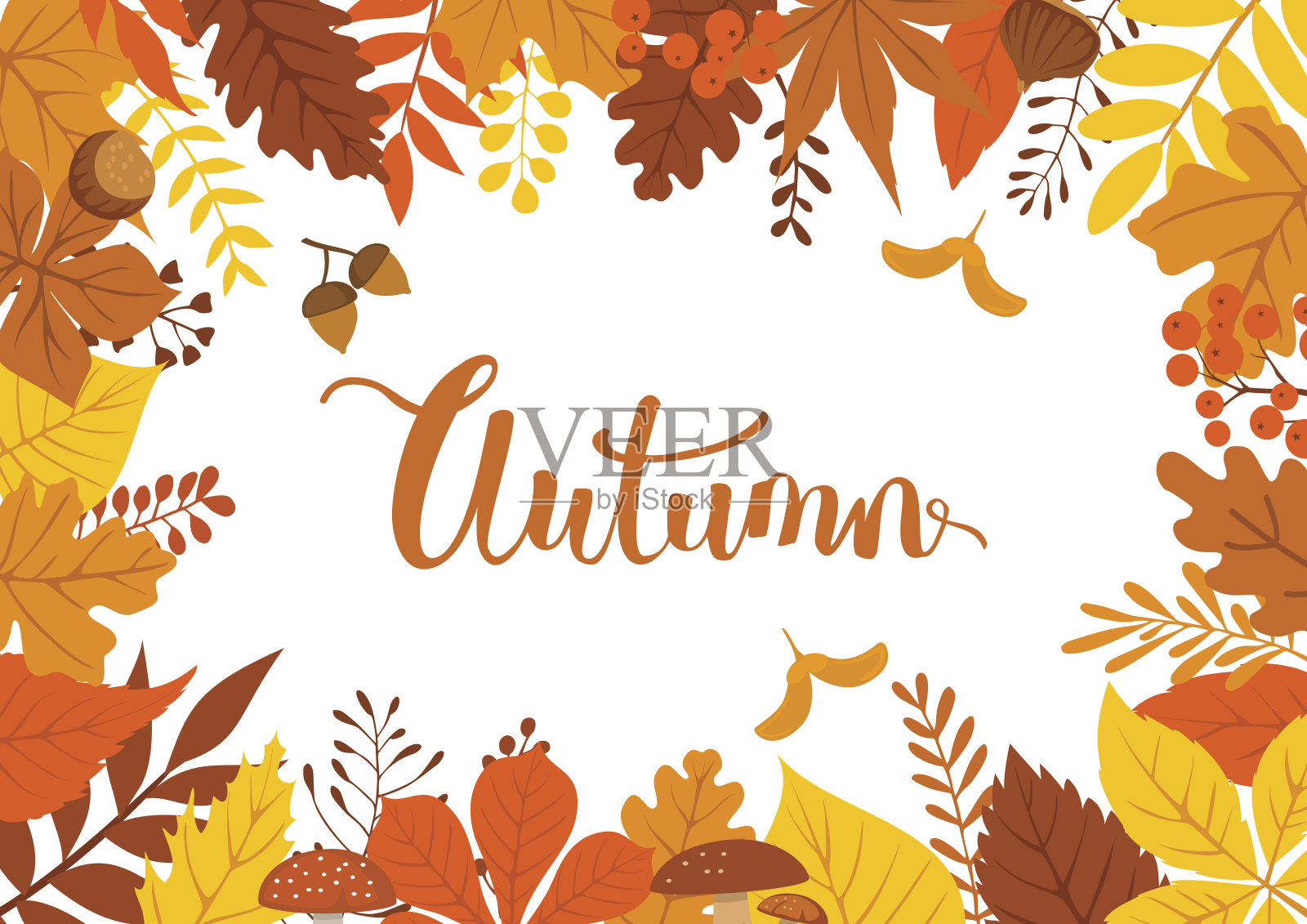 秋天的落叶，落叶的树枝，树枝的背景插画图片素材