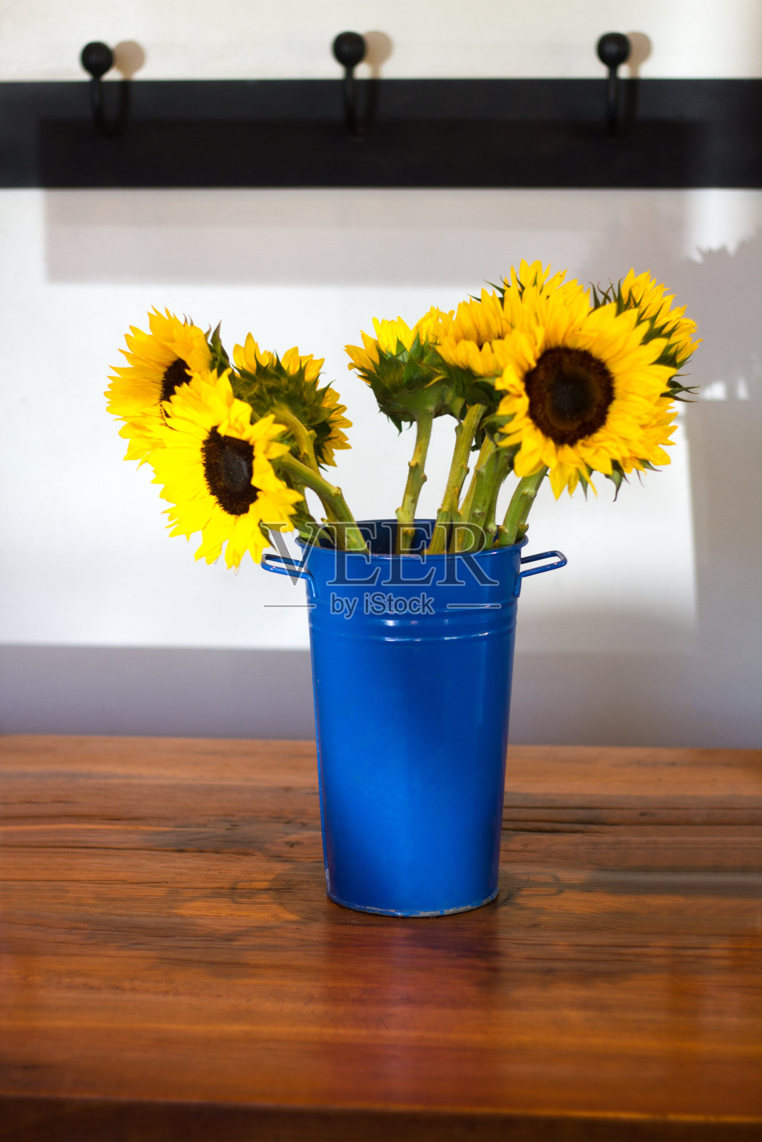 乡村木桌上的鲜蓝色向日葵花瓶照片摄影图片