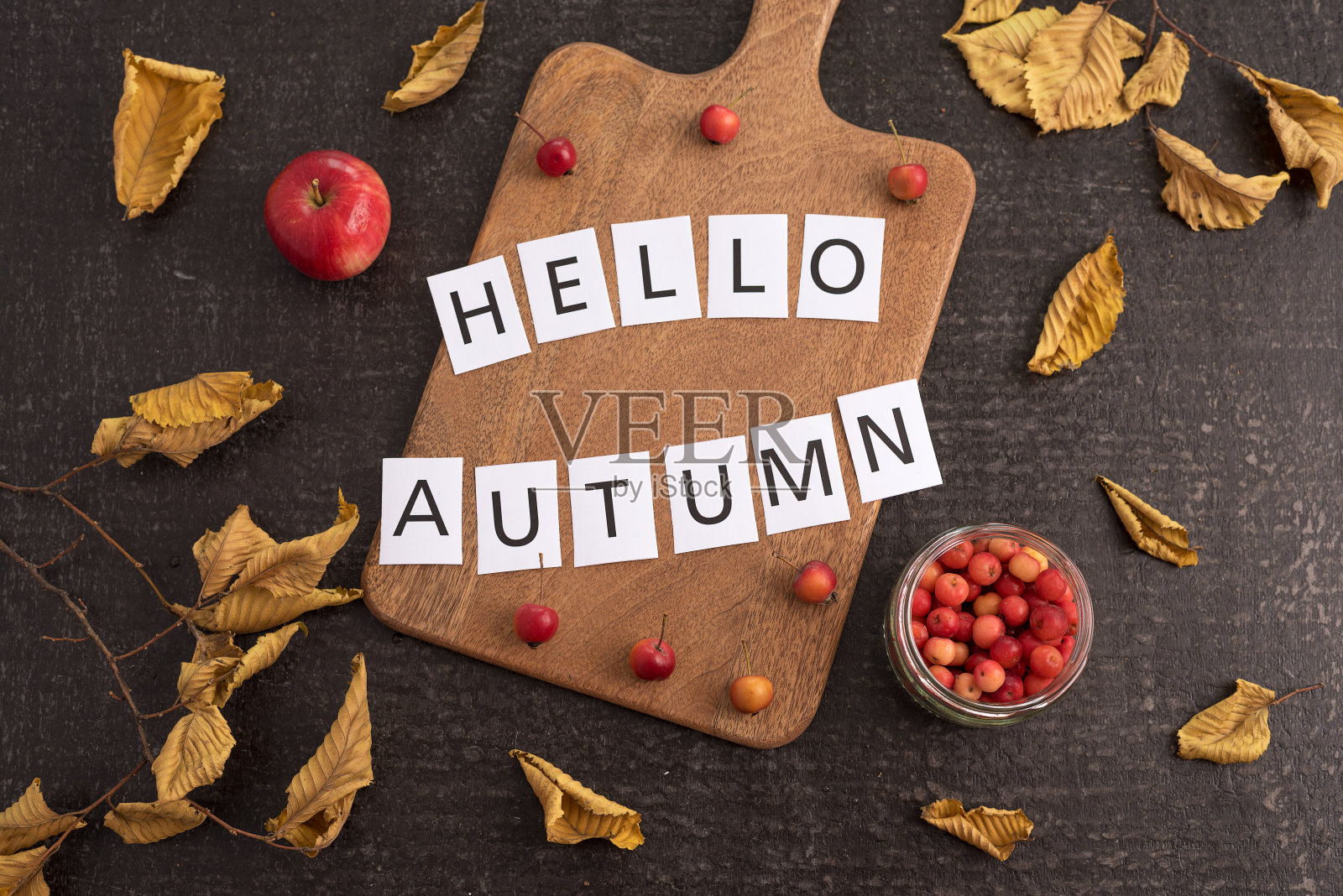 秋天的作文用木板、树叶和标牌照片摄影图片