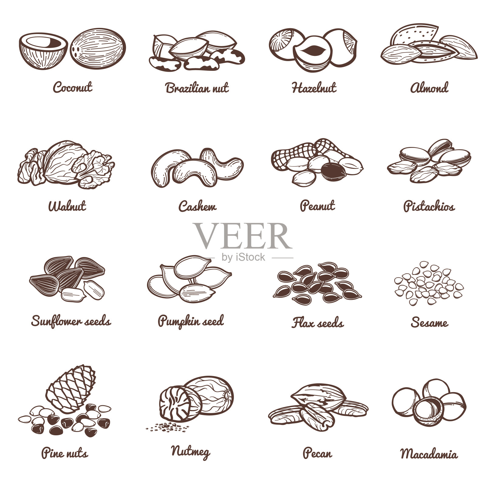 可食用坚果和种子矢量图标。蛋白质健康食品套装设计元素图片