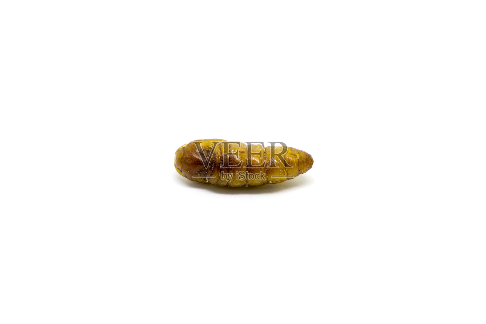 蚕蛹是纯天然油炸食品，蛋白质含量高，孤立于白底照片摄影图片