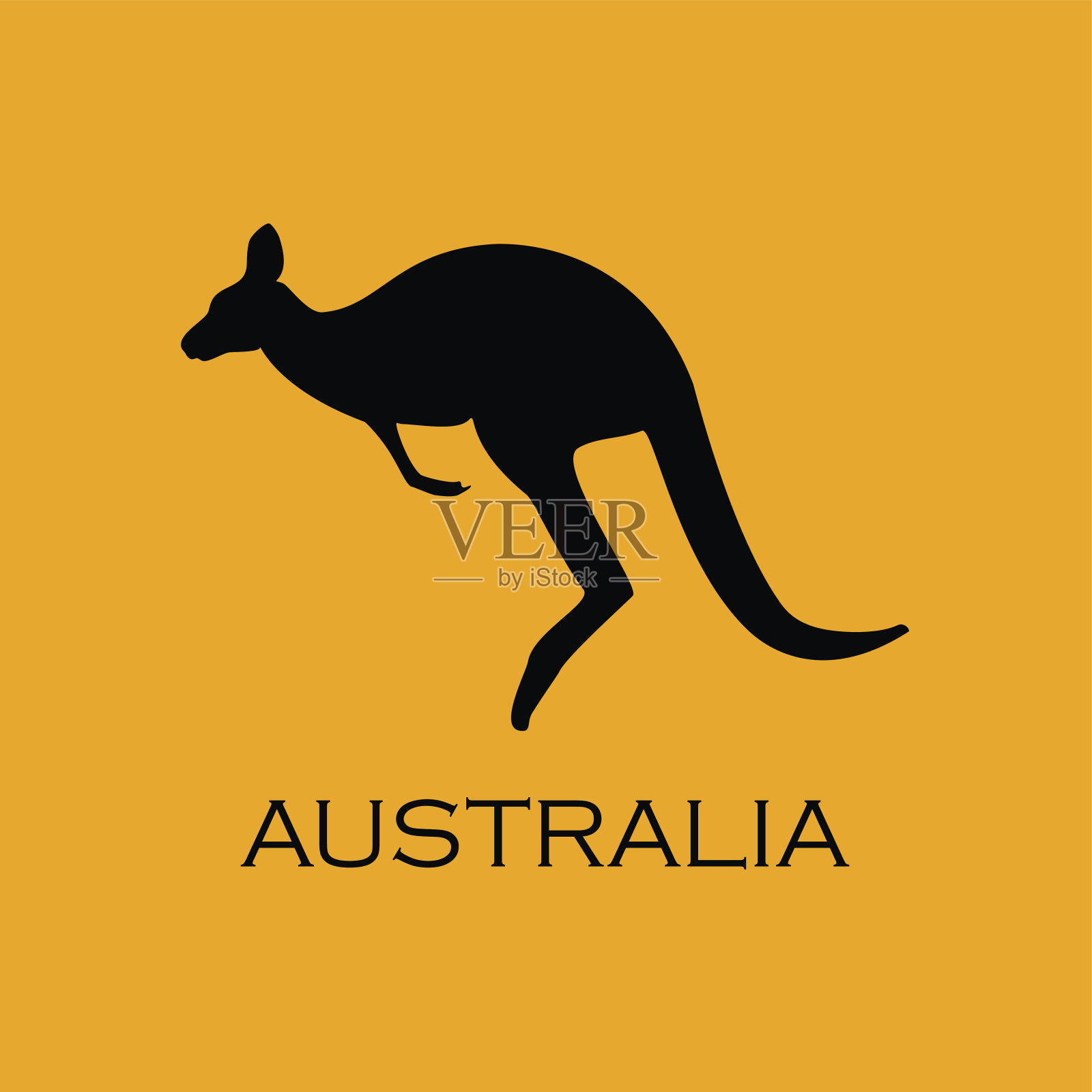 澳大利亚袋鼠向量插画图片素材