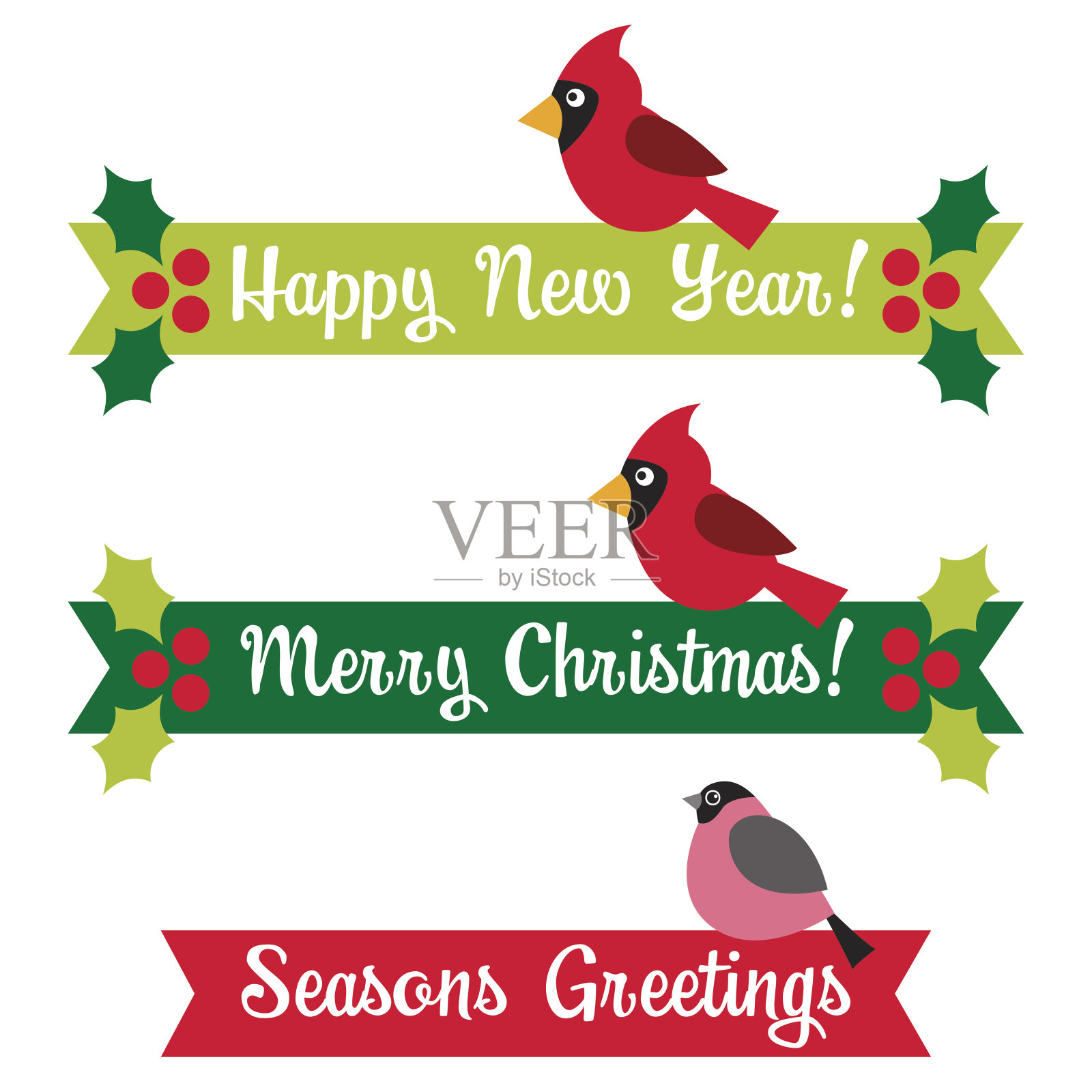 用鸟和冬青浆果做的圣诞和新年横幅插画图片素材