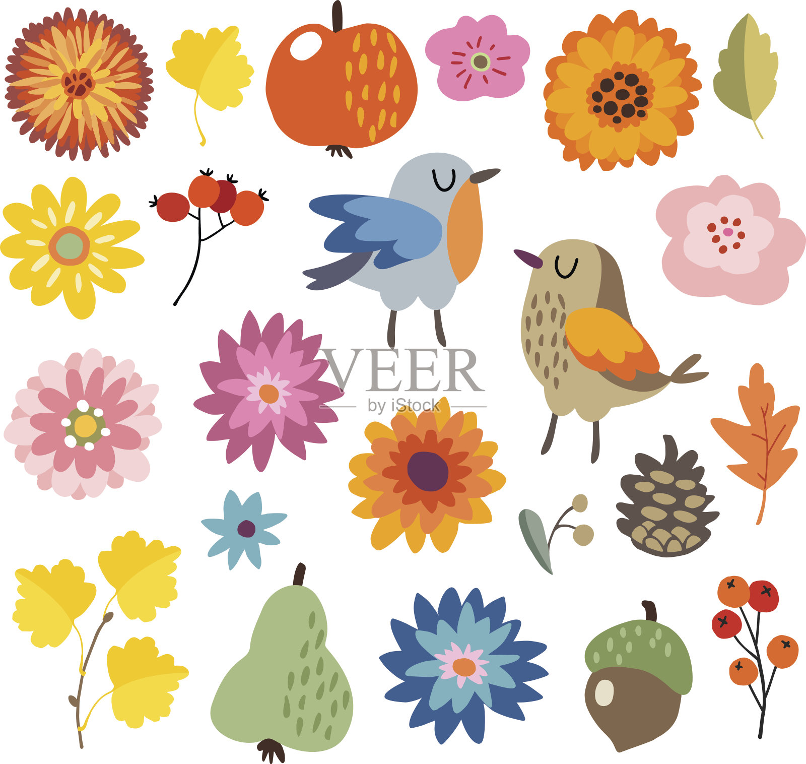 一套可爱的手绘秋天，秋天的元素。收集鸟类和各种花卉、水果和树叶。孤立的矢量插图，对象。平面设计插画图片素材