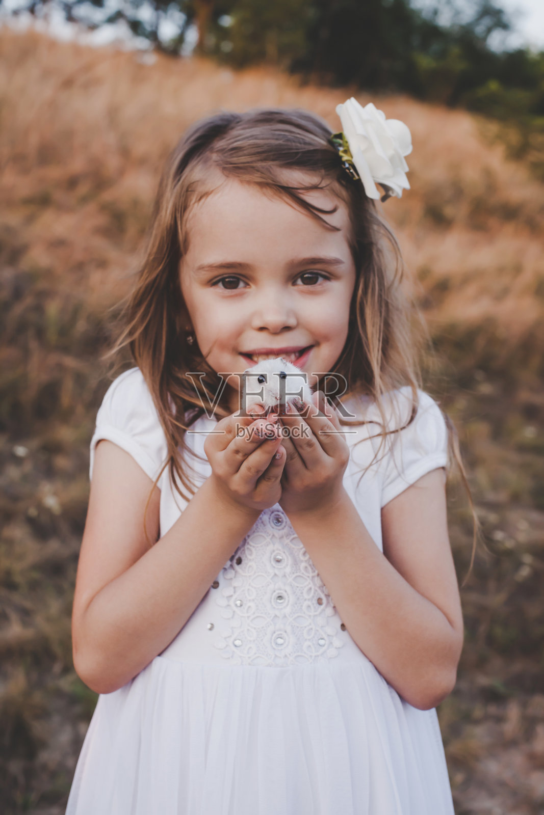 笑容可掬的小女孩抱着白色仓鼠，看起来很复古照片摄影图片
