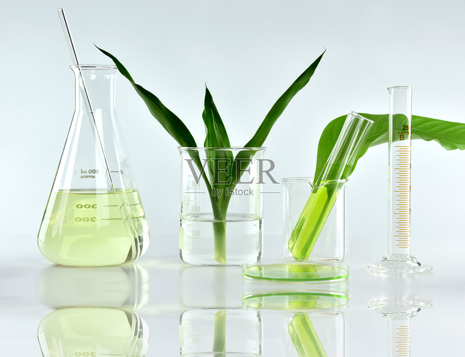 天然有机植物和科学玻璃器皿，替代草药，天然护肤美容产品，研发理念。照片摄影图片