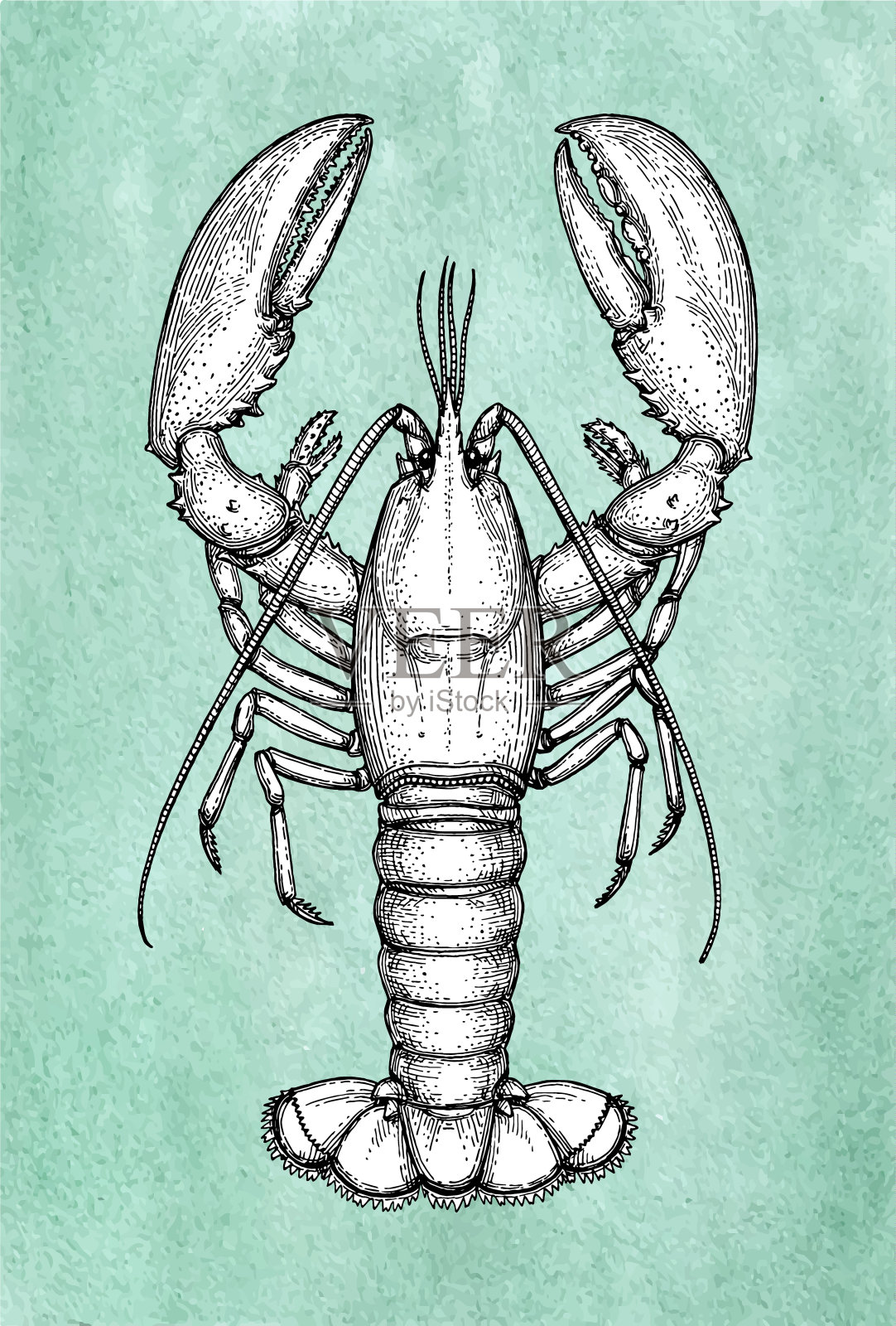 龙虾墨水素描在旧纸上。插画图片素材