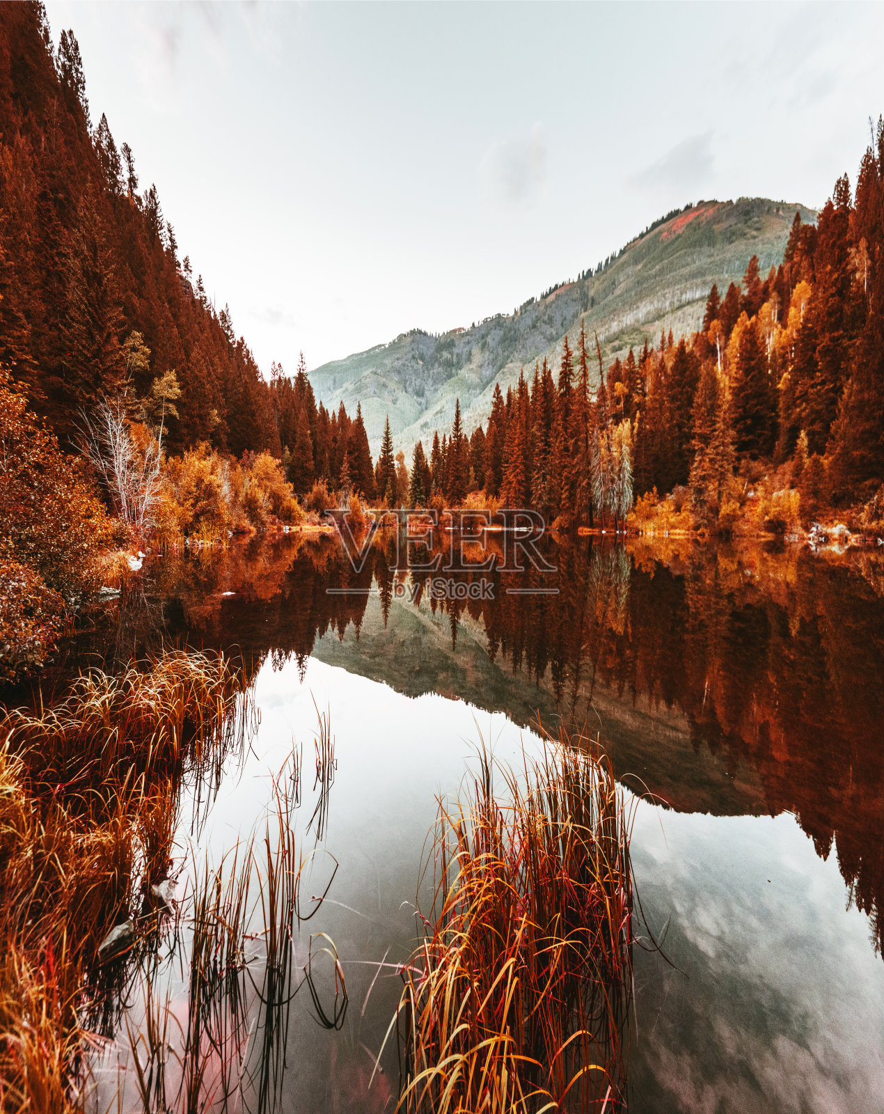 秋天的科罗拉多州的湖泊照片摄影图片