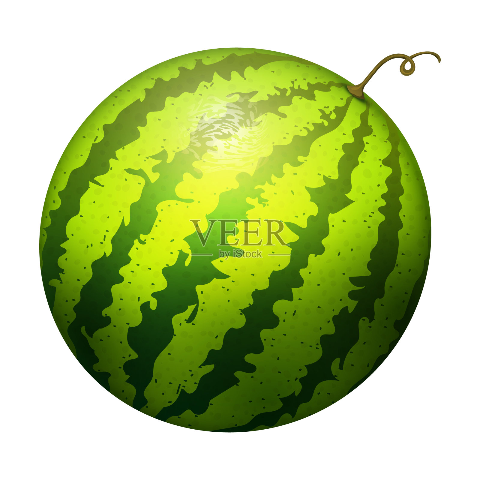 成熟条纹西瓜现实多汁矢量插图自然绿色孤立成熟甜瓜设计元素图片