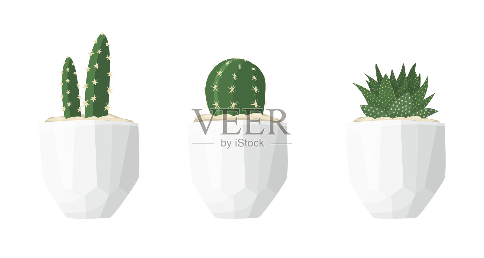 仙人掌和多汁的插图在一个平坦的风格孤立在白色的背景设计元素图片