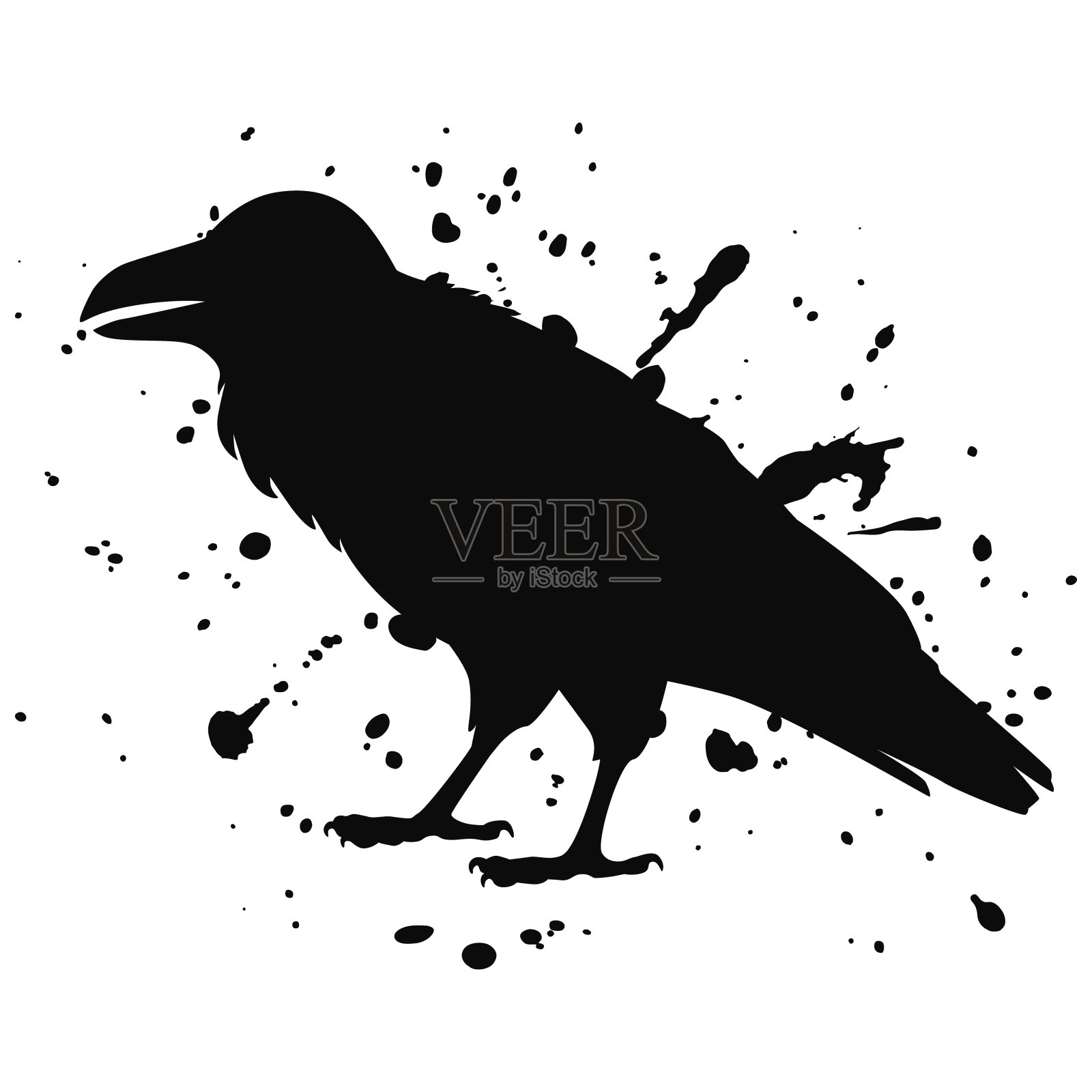 矢量孤立剪影的乌鸦，坐乌鸦。插图一只鸟，黑白相间，用墨水矢量孤立的剪影，一只乌鸦坐着，用墨水泼洒插画图片素材