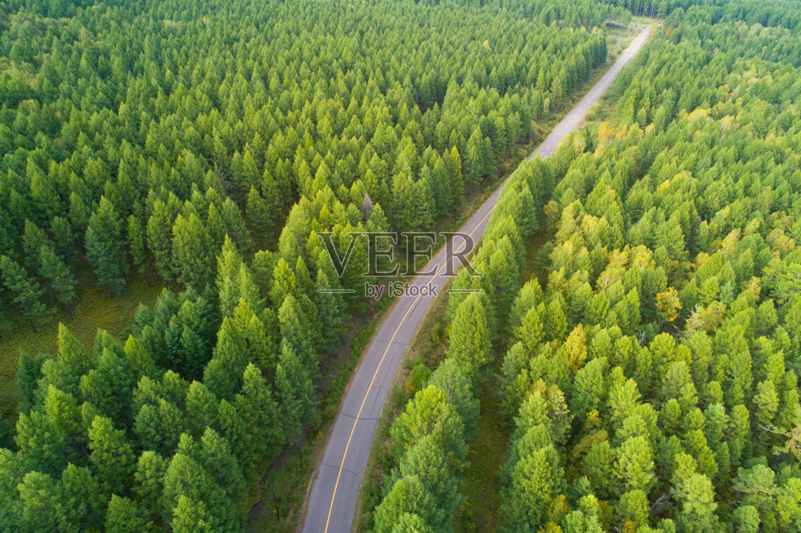 空中拍摄的踪迹在多彩的秋天的森林照片摄影图片
