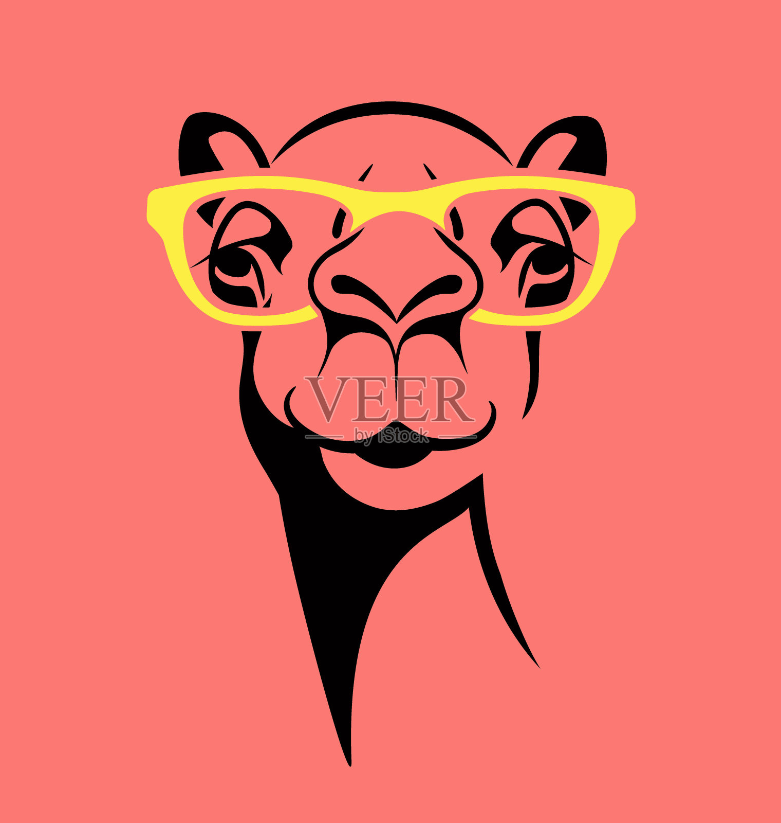 滑稽的骆驼戴眼镜。矢量插图为T恤，海报，印刷设计。插画图片素材