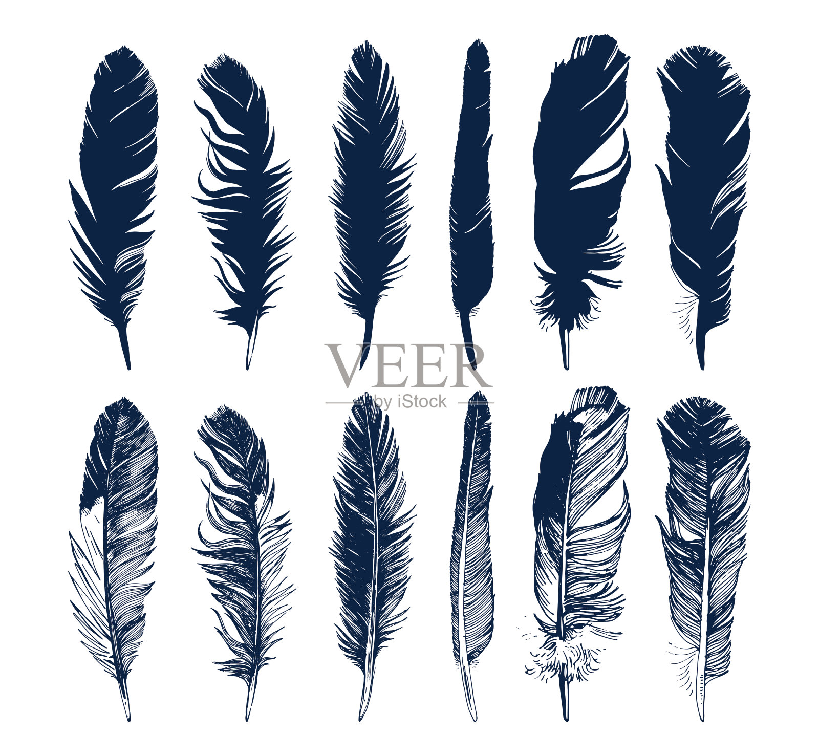 手绘羽毛设置在白色背景设计元素图片