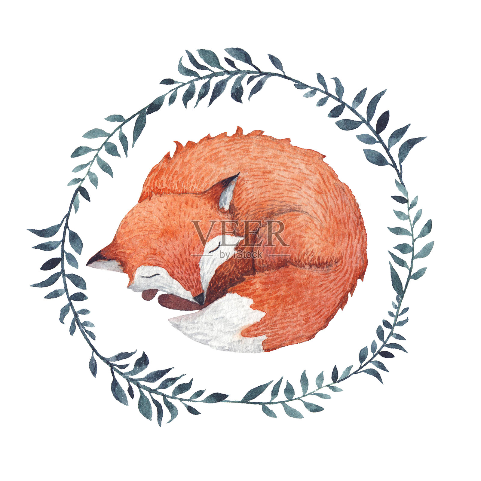 睡觉的狐狸插画图片素材