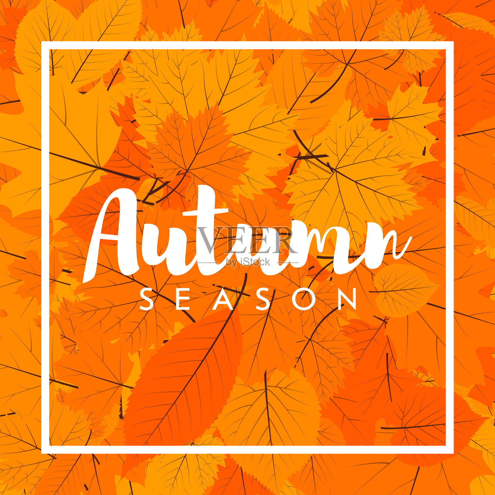 秋季新一季的促销和折扣，优惠和优惠。用手画字母。标签和旗帜模板与黄红的叶子插画图片素材
