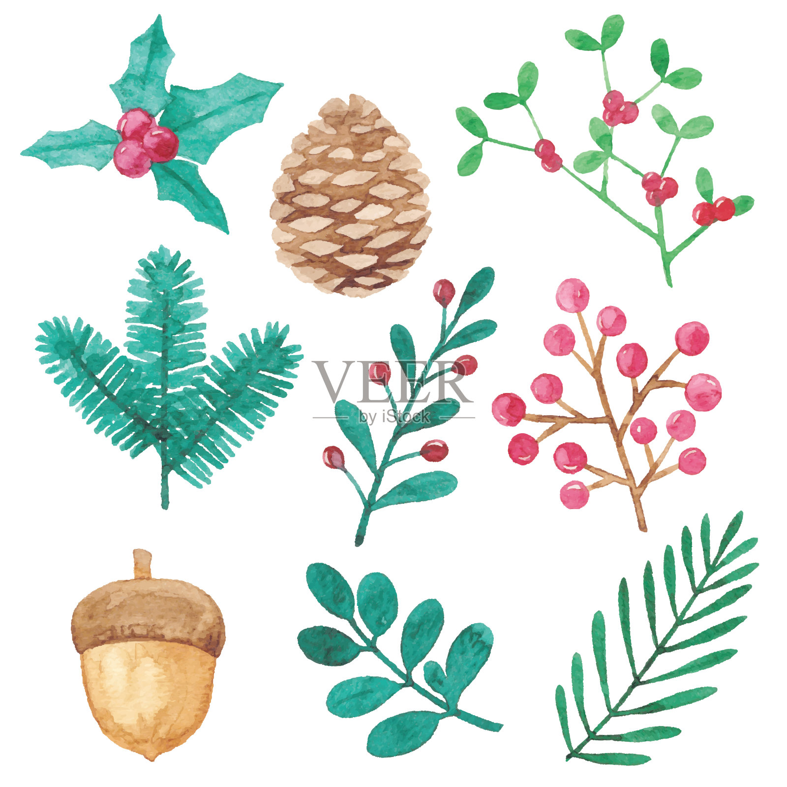 水彩冬季植物设计元素插画图片素材