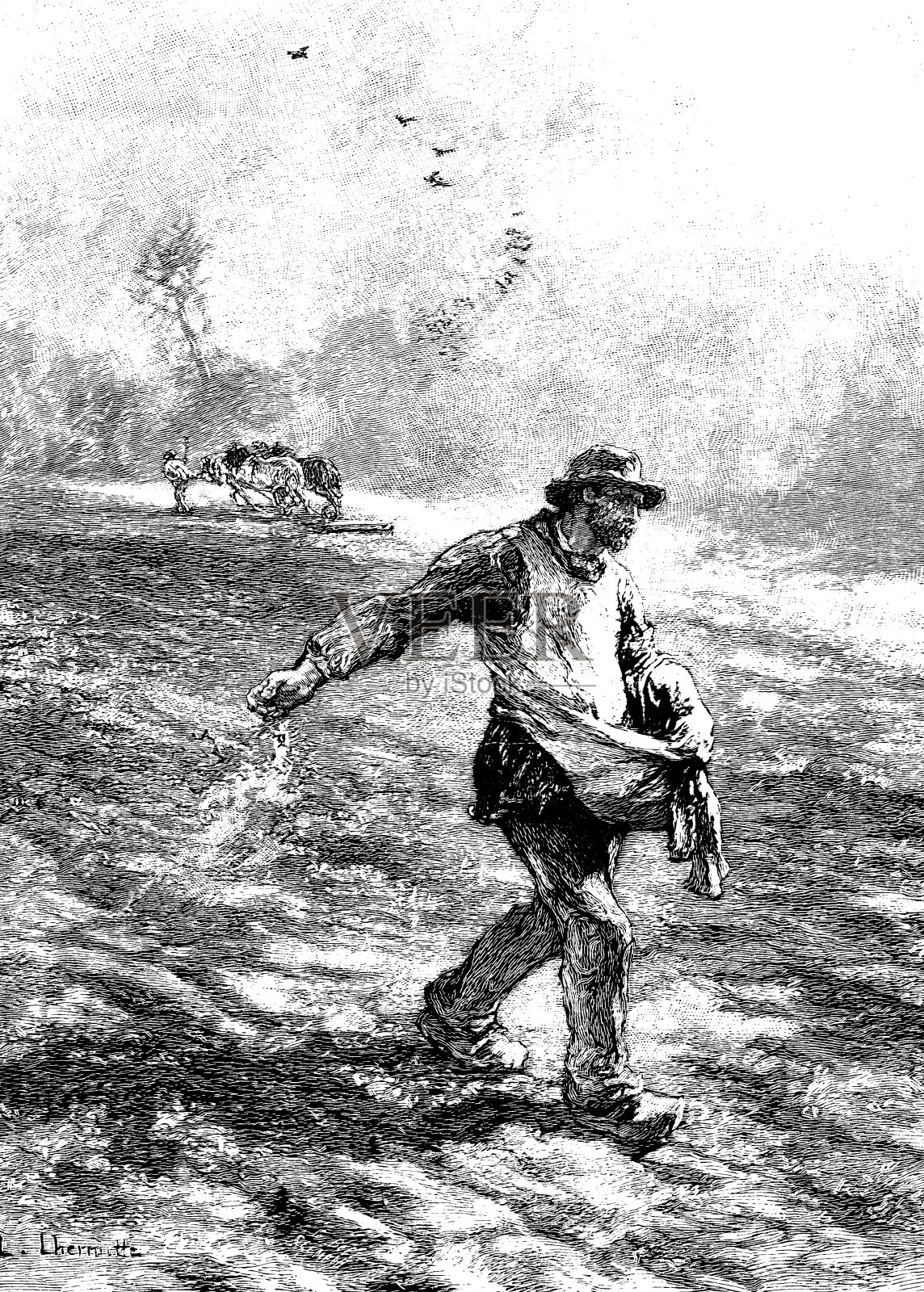 19世纪的一幅农民在田里缝种子的版画;维多利亚农业和农业1890年插画图片素材