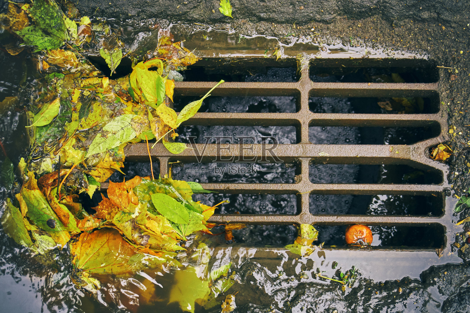 秋雨后落叶的下水道炉排照片摄影图片