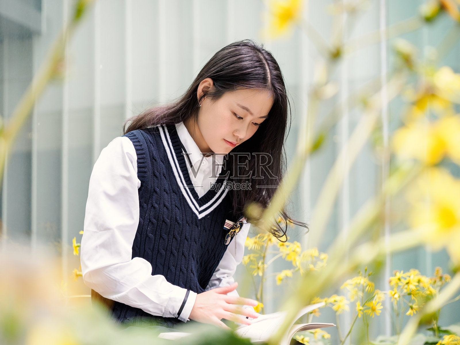 可爱的中国女孩在校园里看书。照片摄影图片