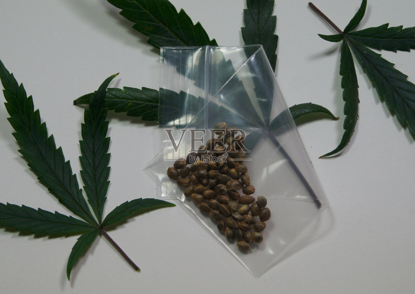 大麻叶和种子陈列在一个塑料袋里照片摄影图片