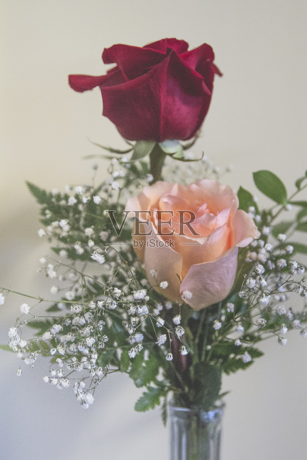 桃红单瓣玫瑰插瓶照片摄影图片