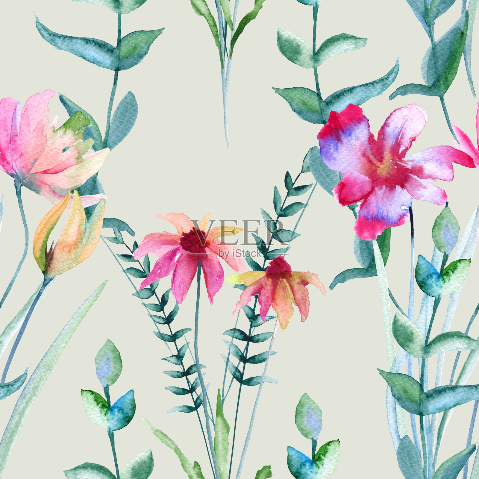 背景的野花。无缝模式。插画图片素材