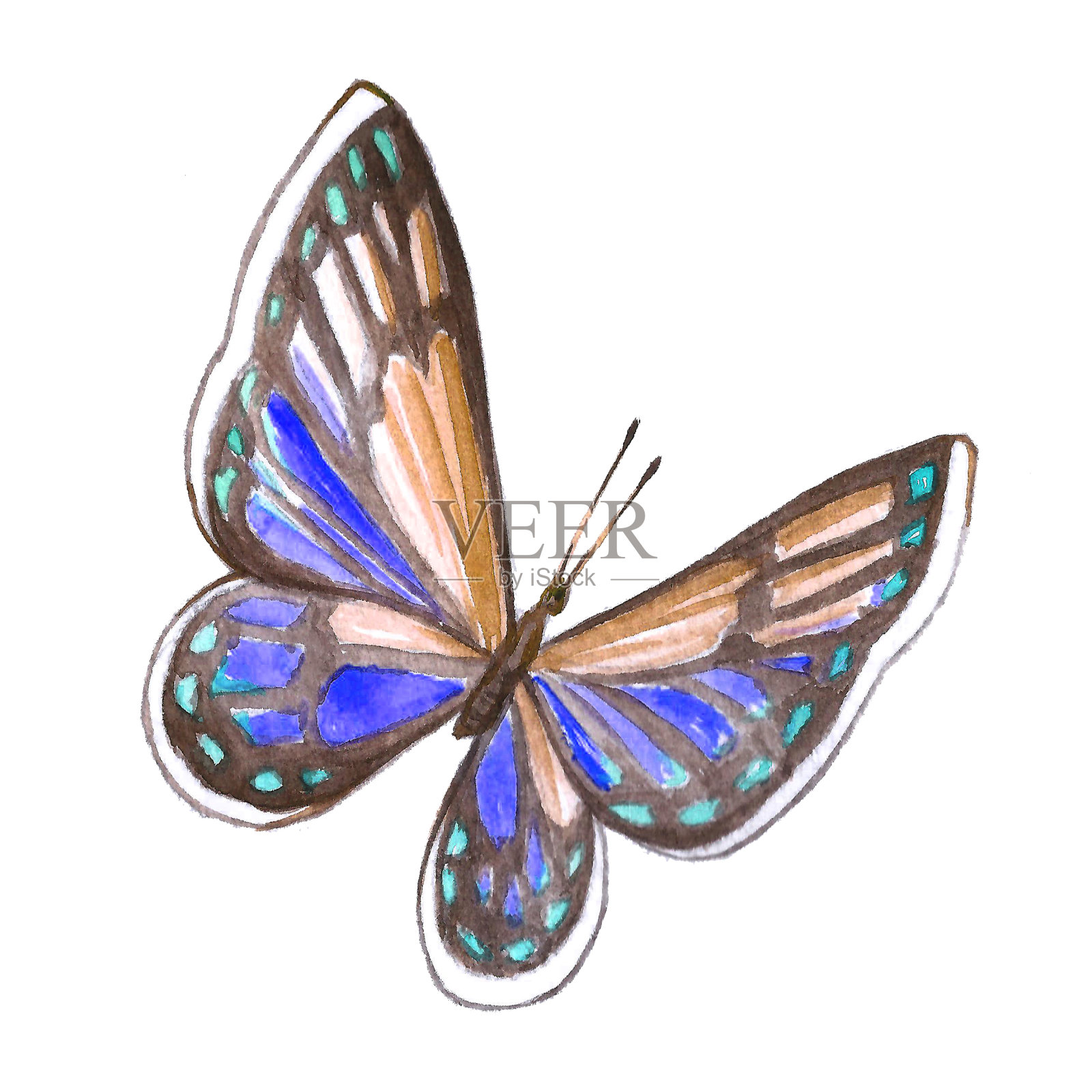 蜻蜓的水彩插图设计元素图片