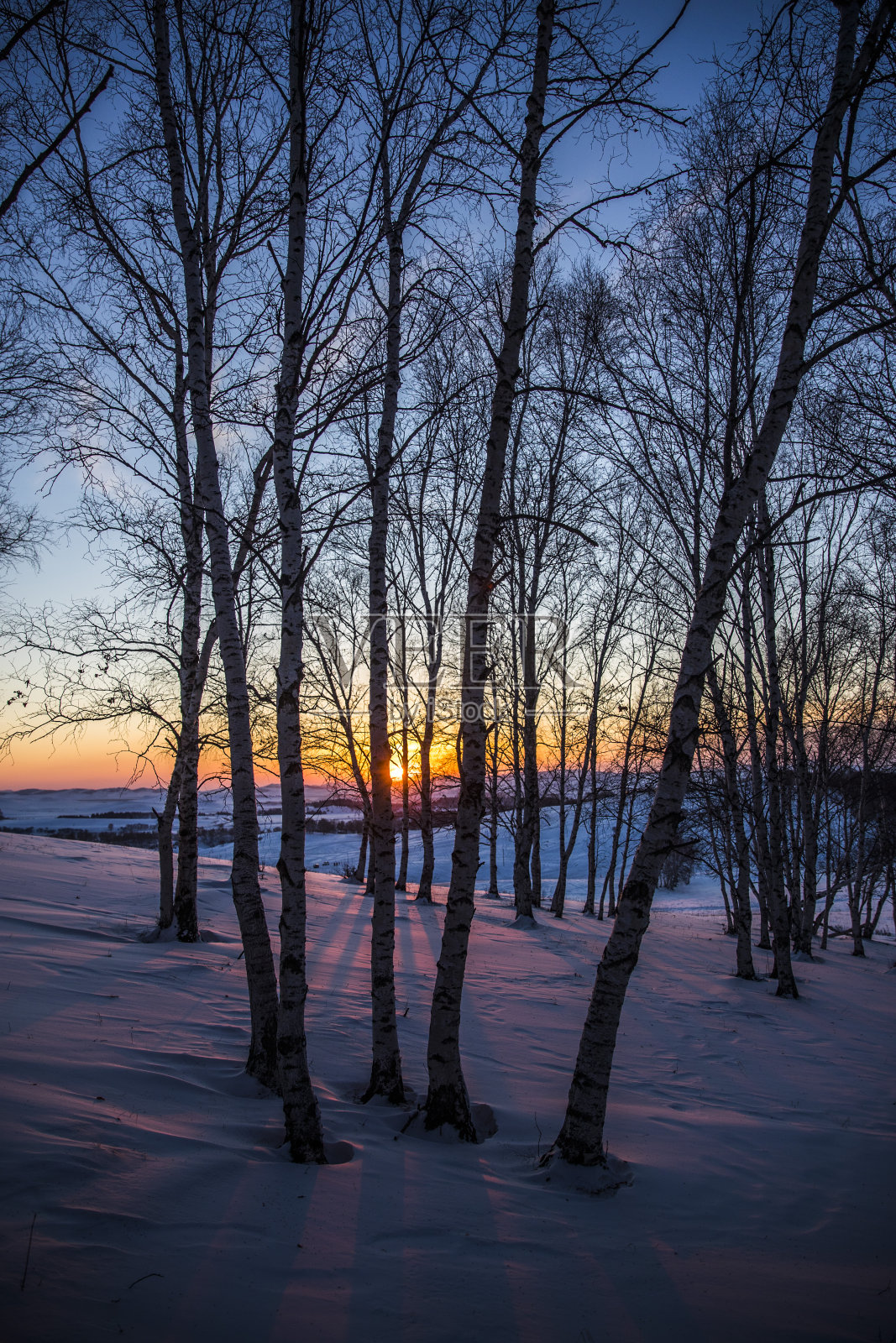 冬天的风景照片摄影图片