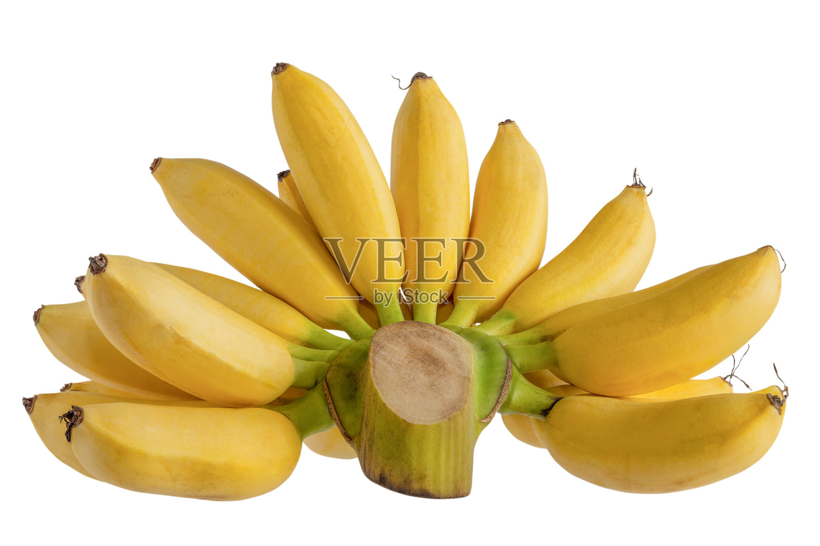 香蕉皮桑马孤立在白色背景照片摄影图片