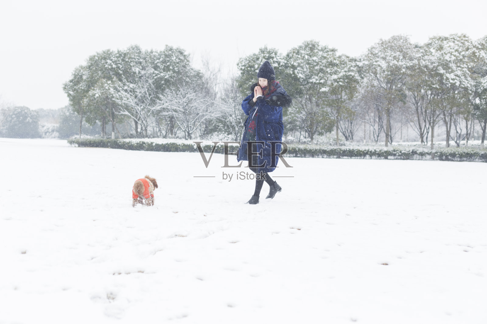 美丽的女人享受雪与宠物狗在雪地上照片摄影图片