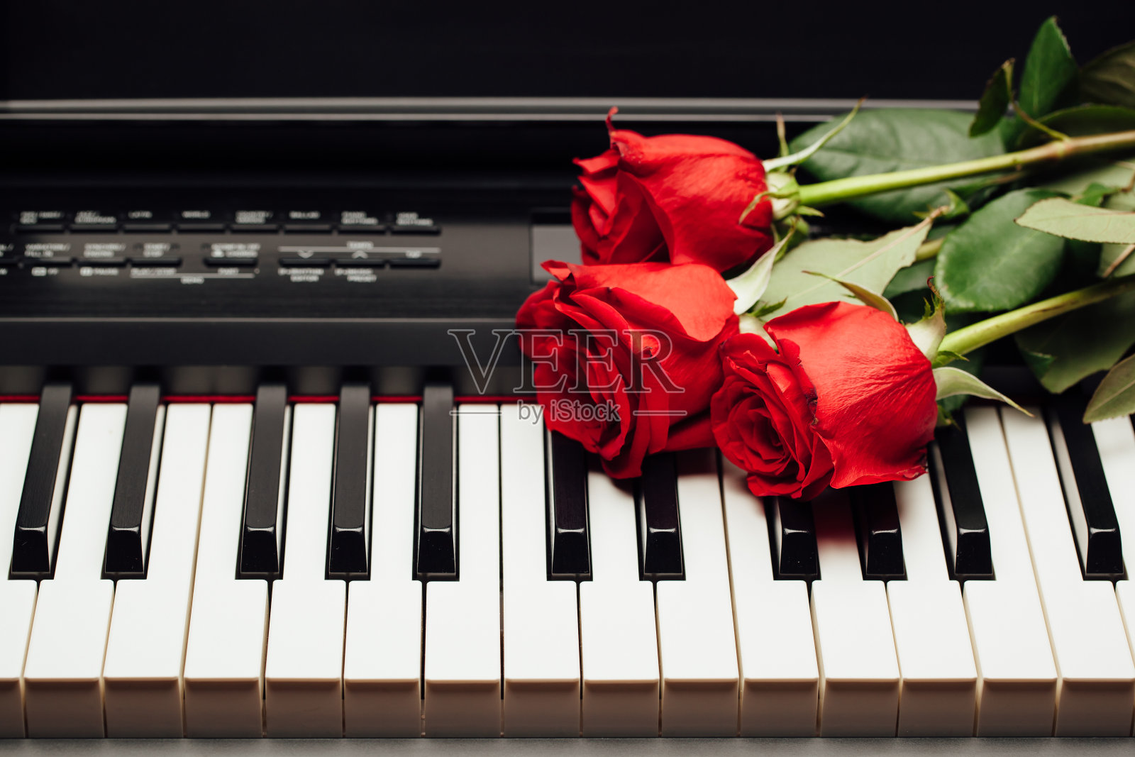 钢琴琴键和红玫瑰照片摄影图片