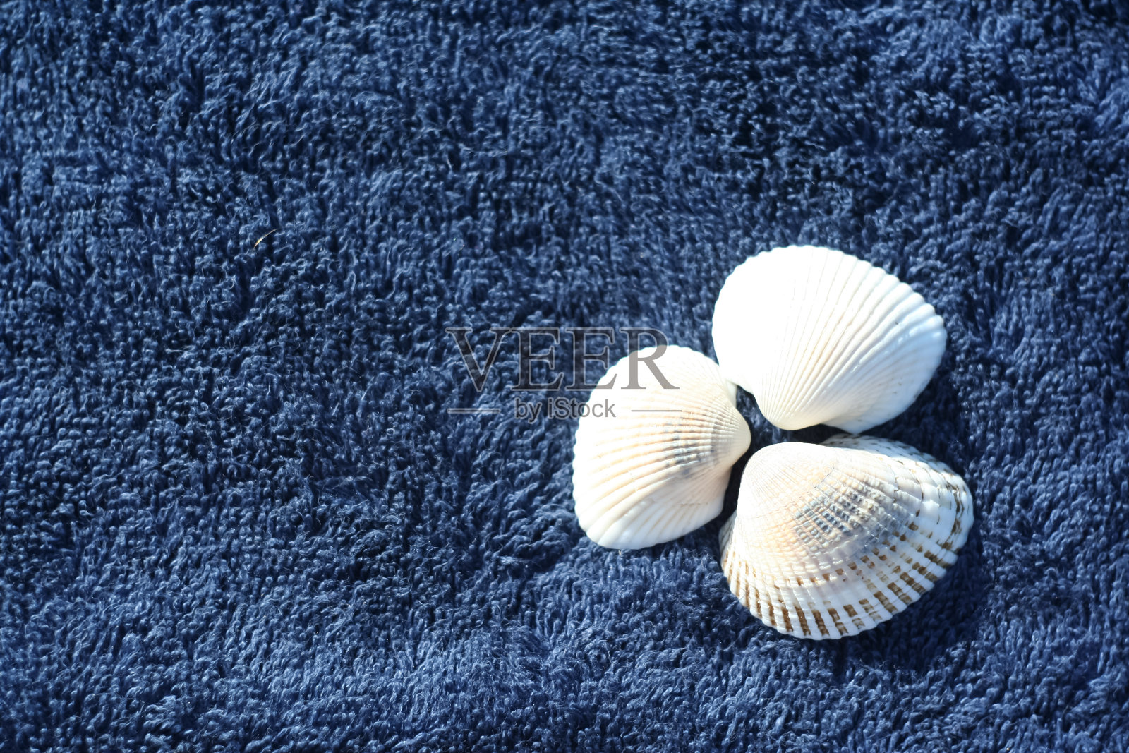 蓝色毛巾上的贝壳。海滩上的安排。照片摄影图片