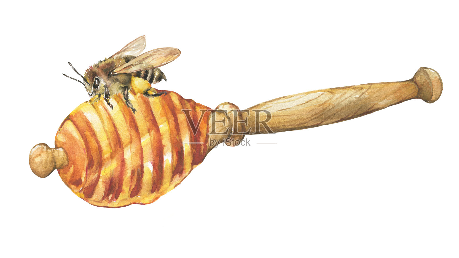 木勺上放蜜蜂和天然花卉新鲜蜂蜜。水彩手绘插图孤立的白色背景。插画图片素材